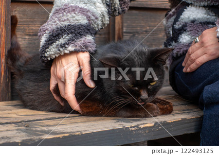 人懐こい黒猫 人懐こい黒猫 122493125