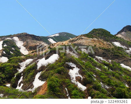 春の蔵王 駒草平（宮城県刈田郡） 122493261
