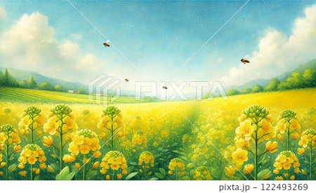 青空の下に広がる菜の花畑と飛び交うミツバチの春の風景イラスト   122493269