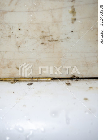 Mold in the bathroom. Black dots of mold and yellow plaque. Black mold Dirt on tiles. Requires cleaning. Before using cleaning products. Mold in the bathroom. Black dots of mold and yellow plaque. Black mold Dirt on tiles. Requires cleaning. Before using cleaning products. 122493538