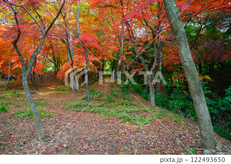 秋の武田神社【躑躅ヶ崎館跡】 122493650