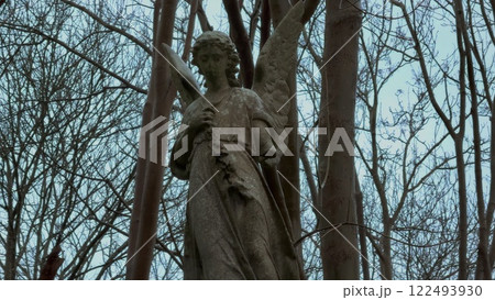A beautiful Serene Stone Angel Statue nestled amidst lush, vibrant greenery, exuding peace and 122493930