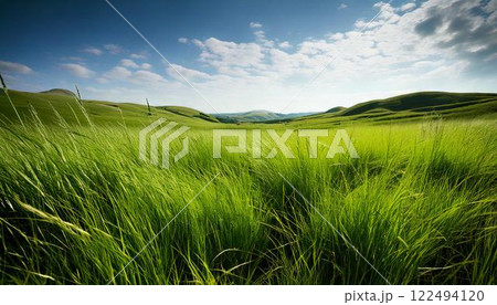 空き地　荒地　雑草　土地 122494120