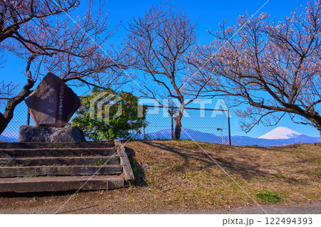神奈川県小田原市の曽我梅林と富士山 神奈川県小田原市の曽我梅林と富士山 122494393