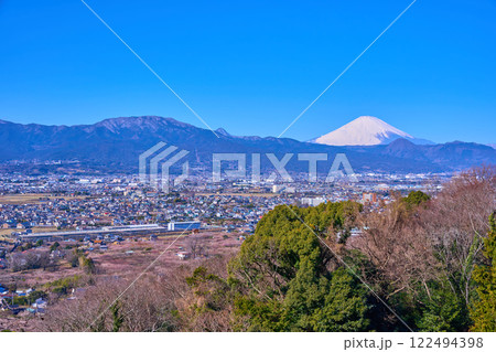 神奈川県小田原市の曽我梅林と市街地の眺望(小田原市,富士山,矢倉岳など) 122494398