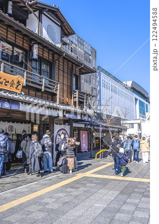 神奈川県小田原市の都市風景 お城通り 神奈川県小田原市の都市風景 お城通り 122494588