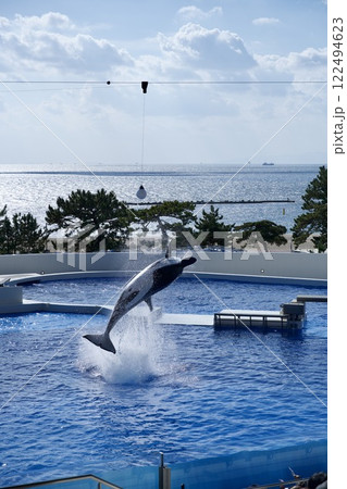 須磨シーワールドのシャチ 122494623