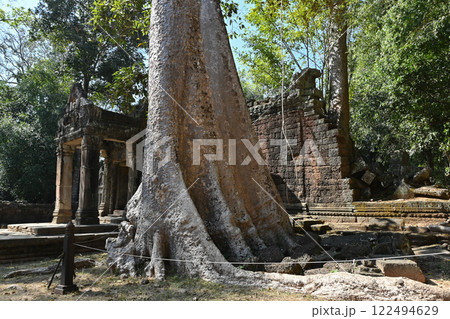 巨木に覆われたタ・プローム寺院，アンコール遺跡群／カンボジア 122494629