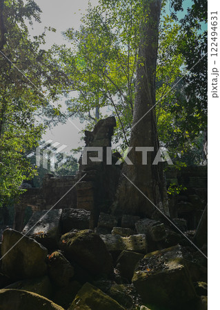 巨木に覆われたタ・プローム寺院,アンコール遺跡群/カンボジア 巨木に覆われたタ・プローム寺院,アンコール遺跡群/カンボジア 122494631