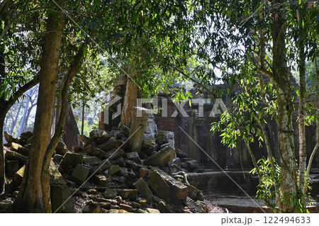 巨木に覆われたタ・プローム寺院，アンコール遺跡群／カンボジア 122494633