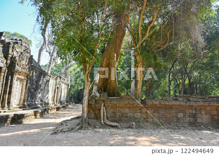 巨木に覆われたタ・プローム寺院,アンコール遺跡群/カンボジア 巨木に覆われたタ・プローム寺院,アンコール遺跡群/カンボジア 122494649