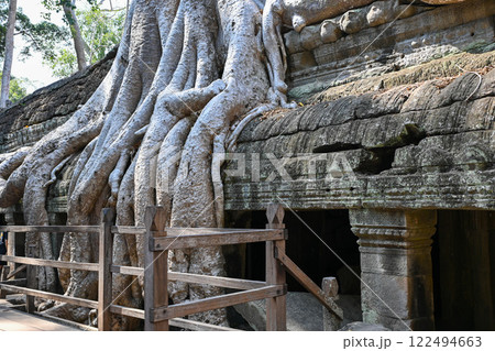 巨木に覆われたタ・プローム寺院,アンコール遺跡群/カンボジア 巨木に覆われたタ・プローム寺院,アンコール遺跡群/カンボジア 122494663
