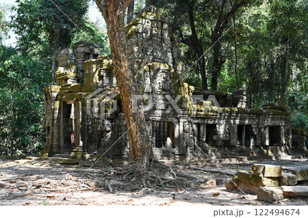 巨木に覆われたタ・プローム寺院，アンコール遺跡群／カンボジア 122494674