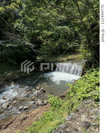 新緑に包まれた渓流 122494770