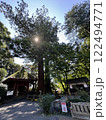 太陽に照らされる木々 122494771