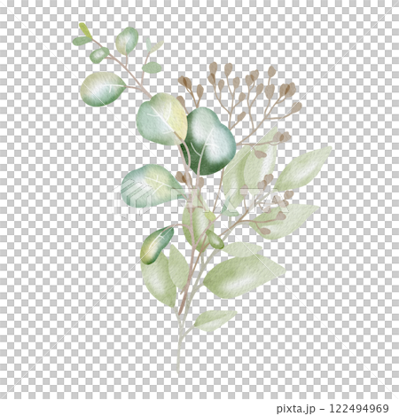 Hand-drawn watercolor illustration of elegant eucalyptus branches with lush, aromatic leaves. Perfect for wedding invitations, botanical prints, minimalist home decor, romantic greeting cards. 122494969