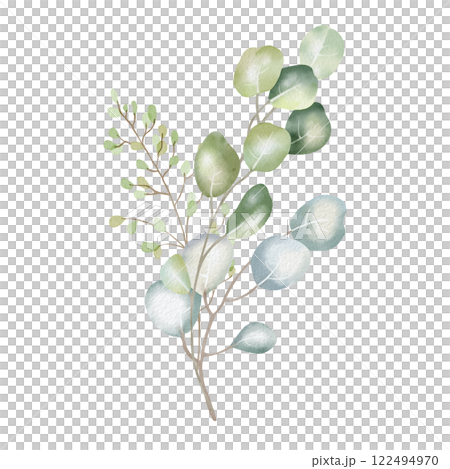 Hand-drawn watercolor illustration of elegant eucalyptus branches with lush, aromatic leaves. Perfect for wedding invitations, botanical prints, minimalist home decor, romantic greeting cards. 122494970