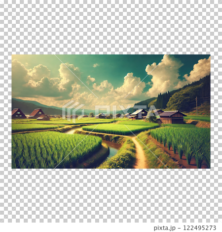 Rural rice field and blue sky scenery 122495273