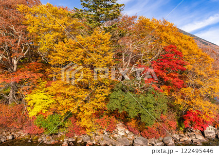 《栃木県》秋の奥日光・紅葉の男体山 122495446