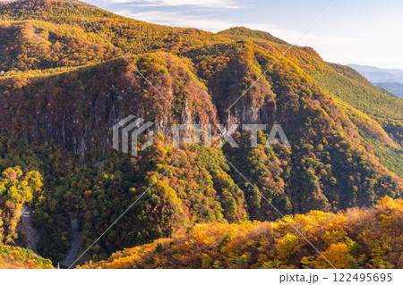 《栃木県》紅葉最盛期の奥日光・明智平の眺望 122495695