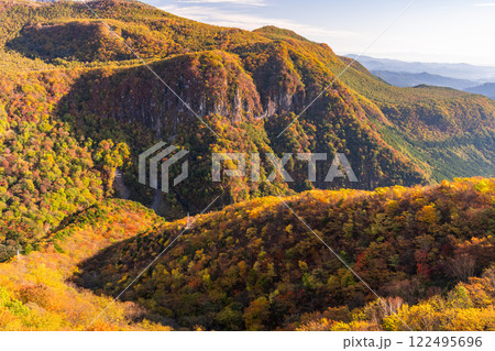 《栃木県》紅葉最盛期の奥日光・明智平の眺望 122495696