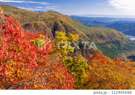 《栃木県》紅葉最盛期の奥日光・明智平の眺望 《栃木県》紅葉最盛期の奥日光・明智平の眺望 122495698