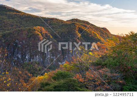 《栃木県》紅葉最盛期の奥日光・明智平の眺望 122495711