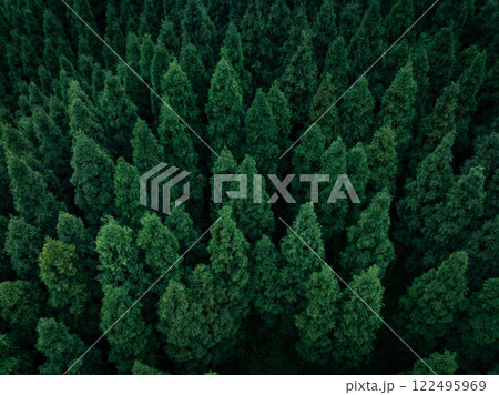 Aerial view of beautiful forest mountain landscape 122495969