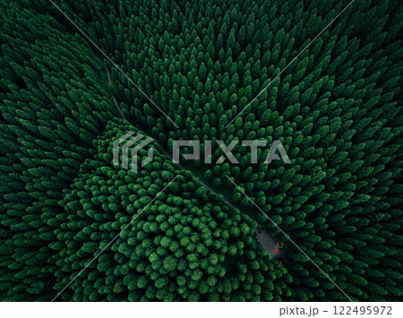 Aerial view of beautiful forest mountain landscape Aerial view of beautiful forest mountain landscape 122495972