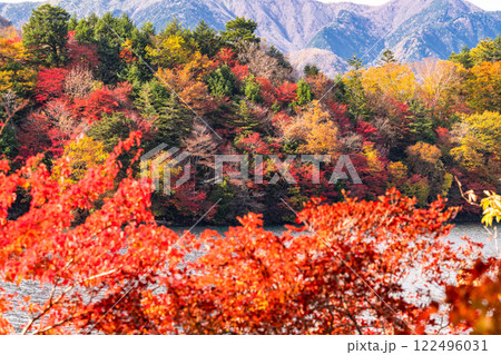 《栃木県》秋の奥日光・紅葉の中禅寺湖 122496031