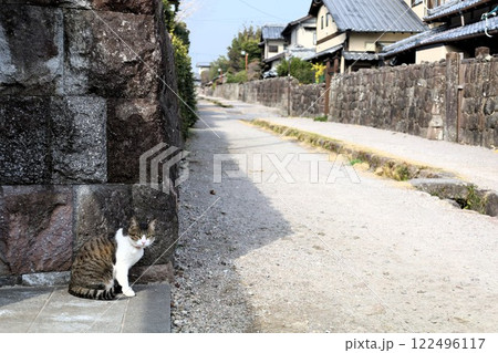 長崎県、長崎、ながさき、島原市、島原、一月、長崎観光、武家屋敷、島原市武家屋敷、島原城、猫散歩、ネコ 長崎県、長崎、ながさき、島原市、島原、一月、長崎観光、武家屋敷、島原市武家屋敷、島原城、猫散歩、ネコ 122496117