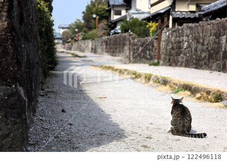 長崎県、長崎、ながさき、島原市、島原、一月、長崎観光、武家屋敷、島原市武家屋敷、島原城、猫散歩、ネコ 長崎県、長崎、ながさき、島原市、島原、一月、長崎観光、武家屋敷、島原市武家屋敷、島原城、猫散歩、ネコ 122496118