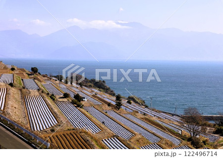 一月の長崎、晴れ渡る雲仙普賢岳、平成新山、橘湾、飯盛町、千々和カル 122496714
