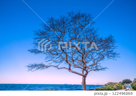 日本の横須賀都市景観　観音崎に立つ観音埼灯台までの道順-6C　 122496869