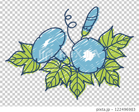 手書き風朝顔のイラスト 手書き風朝顔のイラスト 122496983