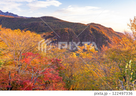 《栃木県》秋の奥日光・紅葉の明智平 122497336