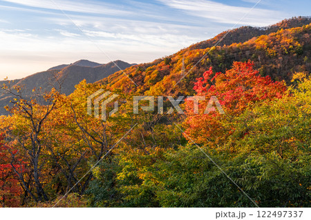 《栃木県》秋の奥日光・紅葉の明智平 122497337