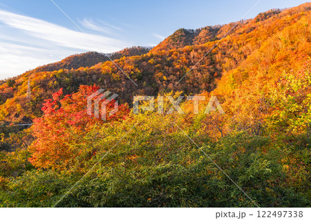 《栃木県》秋の奥日光・紅葉の明智平 122497338