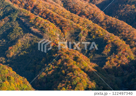 《栃木県》秋の奥日光・紅葉の明智平 122497340
