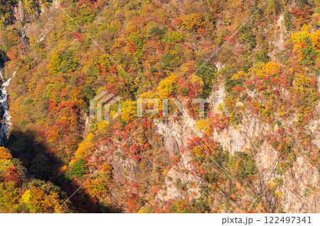 《栃木県》秋の奥日光・紅葉の明智平 122497341