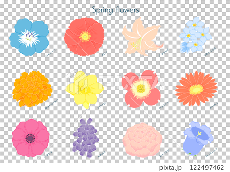 春の花　イラストセット 122497462