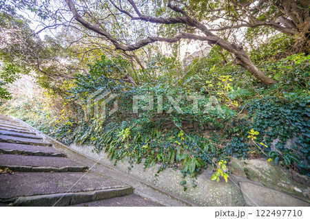 日本の横須賀都市景観 観音崎に立つ観音埼灯台までの道順-28 日本の横須賀都市景観 観音崎に立つ観音埼灯台までの道順-28 122497710