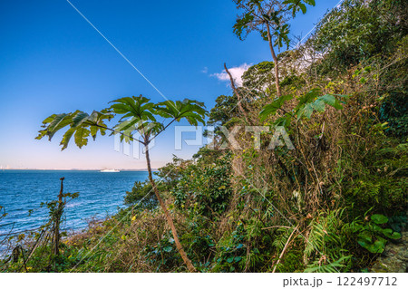日本の横須賀都市景観 観音崎に立つ観音埼灯台までの道順-26 日本の横須賀都市景観 観音崎に立つ観音埼灯台までの道順-26 122497712