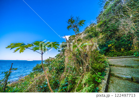 日本の横須賀都市景観　観音崎に立つ観音埼灯台までの道順-27 122497713