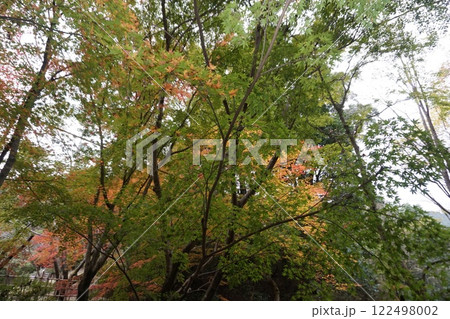 紅葉の日本風景 紅葉の日本風景 122498002