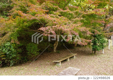 もみじとベンチ もみじとベンチ 122498026