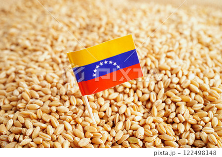 Venezuela flag on grain wheat, trade export and economy concept. Venezuela flag on grain wheat, trade export and economy concept. 122498148
