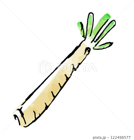 ホースラディッシュ（西洋わさび）のイラスト 122498577