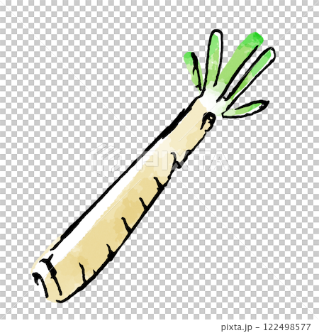 ホースラディッシュ（西洋わさび）のイラスト 122498577