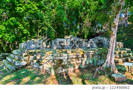 Cemetery Group of the Maya Archaeological Site at Copan. UNESCO world heritage in Honduras 122498662
